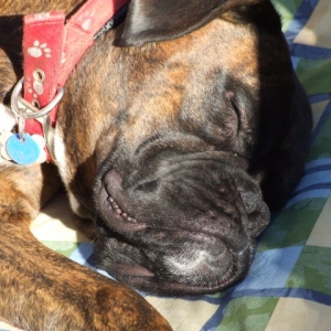 sleepy_boy