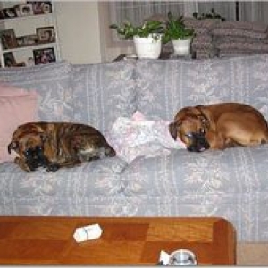 bookends