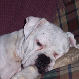 rockysleep