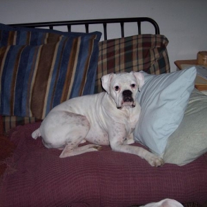 rockcouch