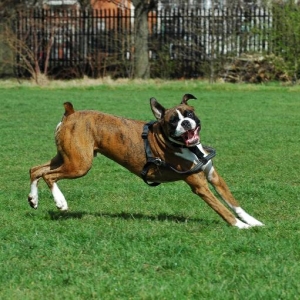 Playtime