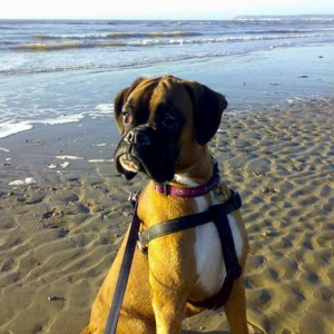 Rubes_Beach