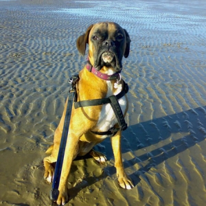 Ruby_Beach