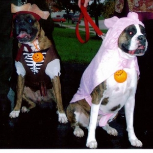 Happy Halloween! Although we aren't very happy!