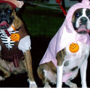 Another Halloween photo