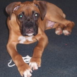 Bentley looking sweet!