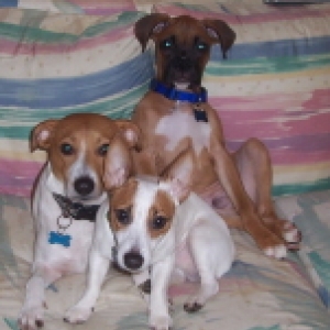 The Bubbas!!