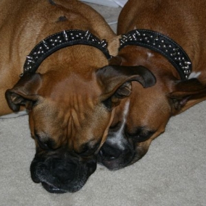 Brotherly Love