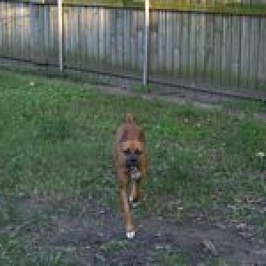 tn_Zoe_in_backyard0002