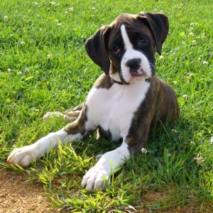 Baby girl Cora at 13 weeks!