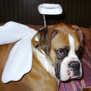 Happy Halloween my angel!