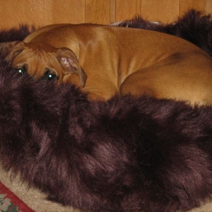 Faux Fur