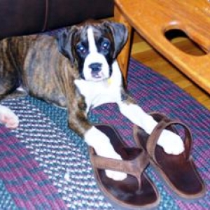 Daddy_s_shoes_