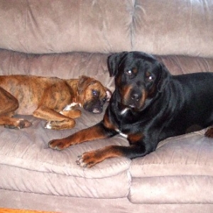 Our couch!