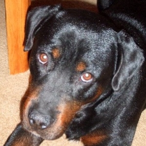 Cutie Face!