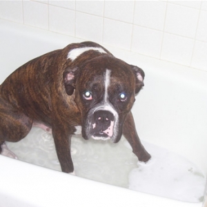 Shower Time