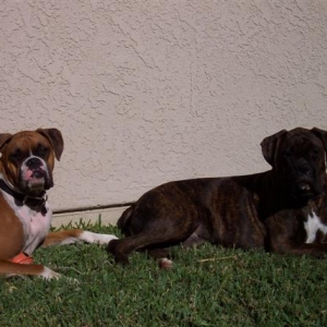 Samantha & Syd