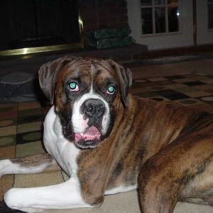 Buster Nov 06