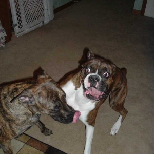 Sneak Attack
