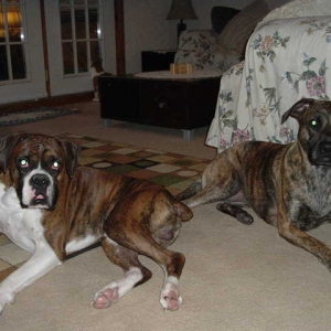 A Lady & Buster