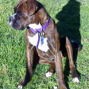 6 months old