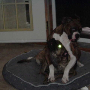 Buster & Lady Aug 2006