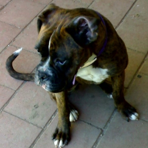 8 months old