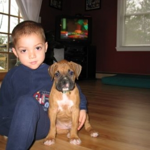 Cooper and Cohen