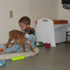 Cooper playing with Bro