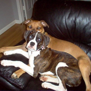 Spooning