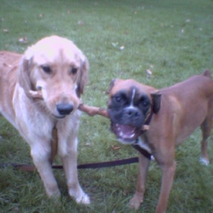 best buds