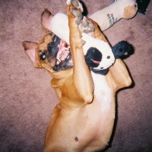 I Love My Toys