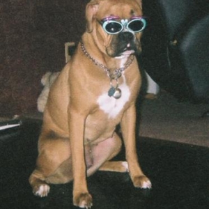 Life's so bright I gotta have shades