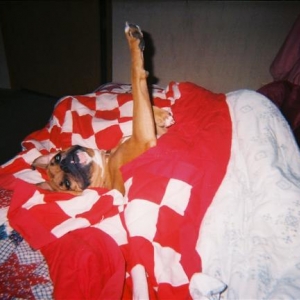 I'm snuggled in