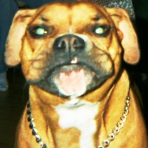 What a face!