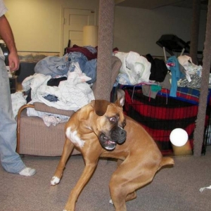Maggie