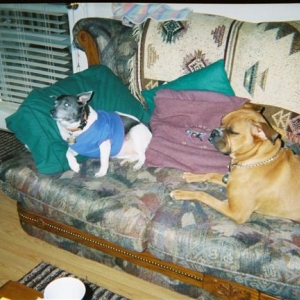 Jesse's friend Mollie