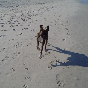 love the beach!