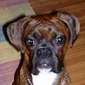 Spike Nov.2006