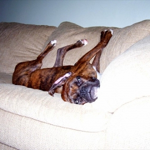 Do I have to get down?