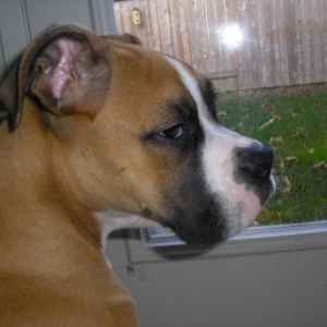 Revan 11/19/2006