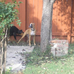 Revan and Fletch 11/19/2006