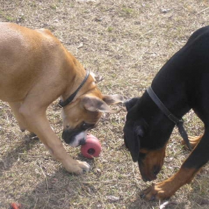 Revan & Fletch 11/19/2006