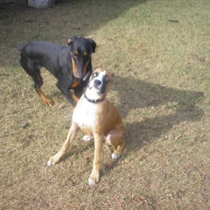 Revan & Fletch 11/19/2006
