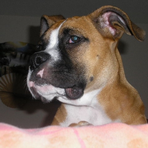 Revan 11/20/2006
