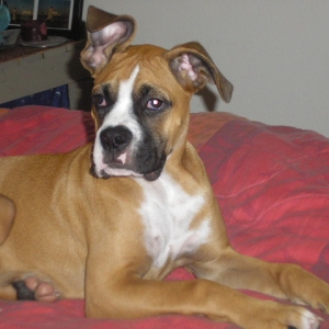 Revan 11/20/2006