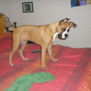 Revan 11/20/2006