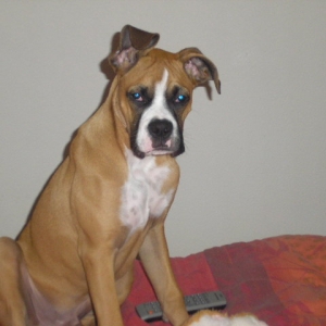 Revan 11/20/2006
