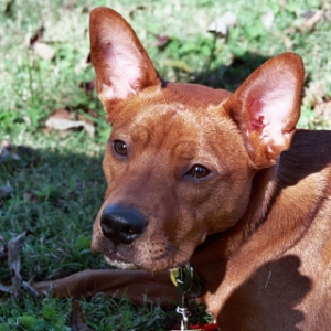 Roxy Lucille
