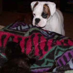 Payton starring down Eboni